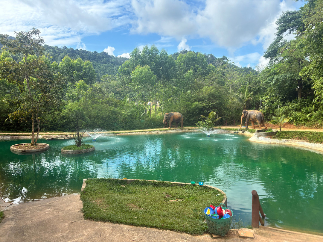 Phuket Elephant Care-奈通必去景点