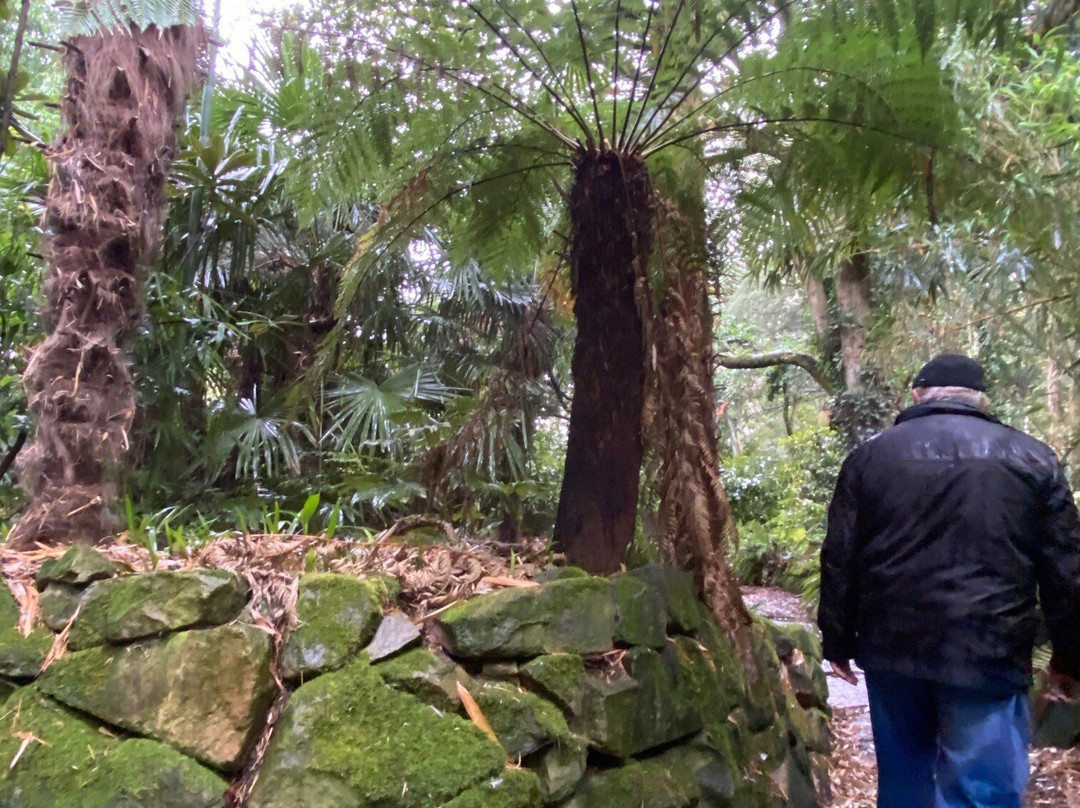 Henstead Exotic Garden-Beccles必去景点