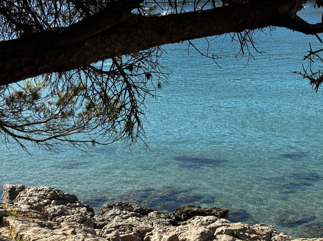 Cala Montgo-L'Escala必去景点