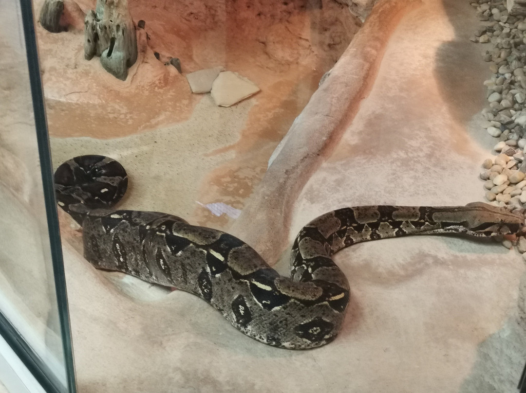 Zoo de La Palmyre-La Palmyre-Les Mathes必去景点