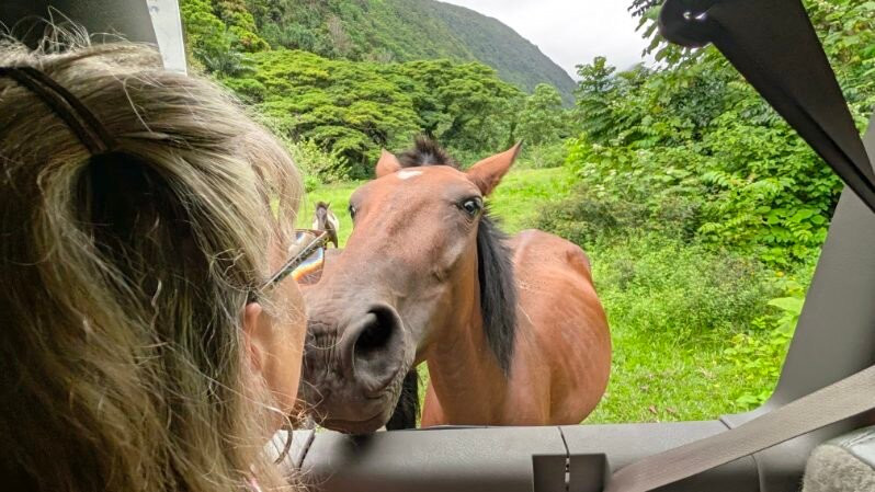Waipio Valley Shuttle-库库伊哈尔必去景点