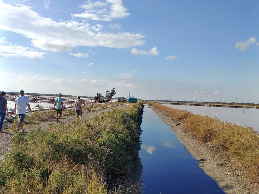 Parco della Salina di Cervia-切尔维亚必去景点