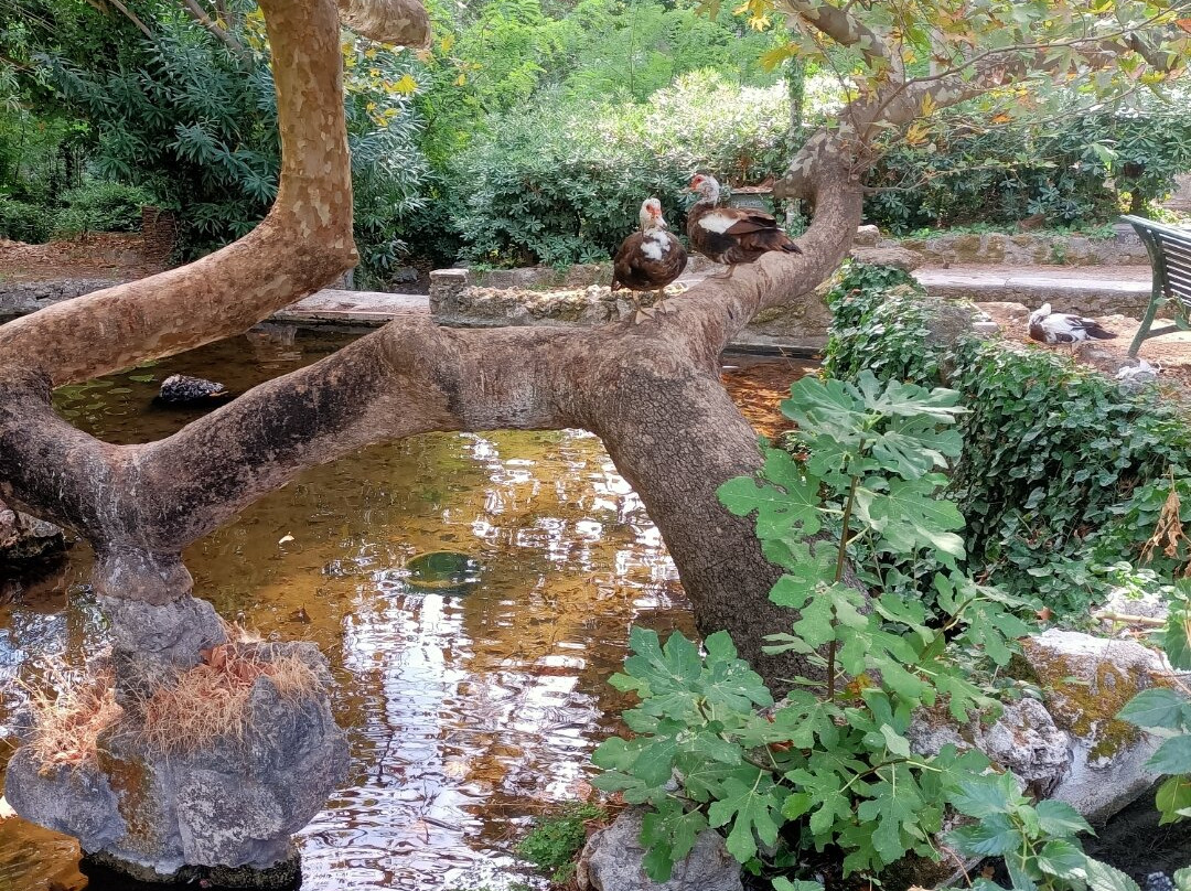 Rodini Park-罗德斯必去景点