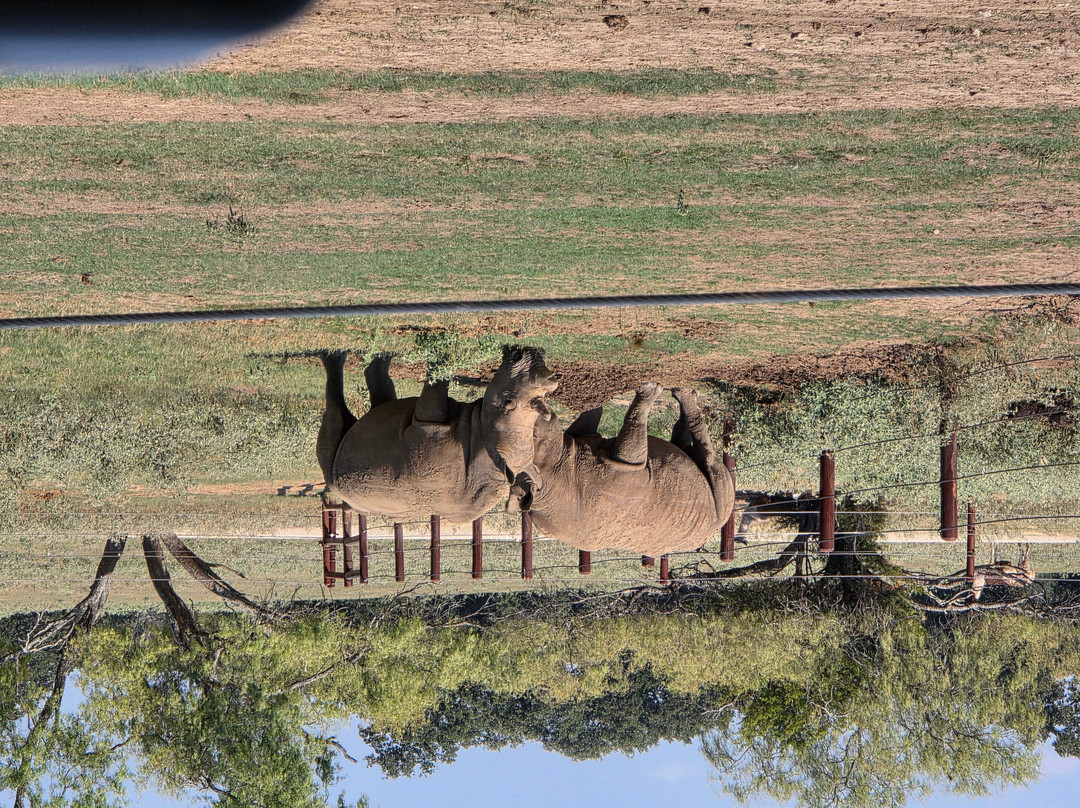 Texas Zoofari Park-Kaufman必去景点