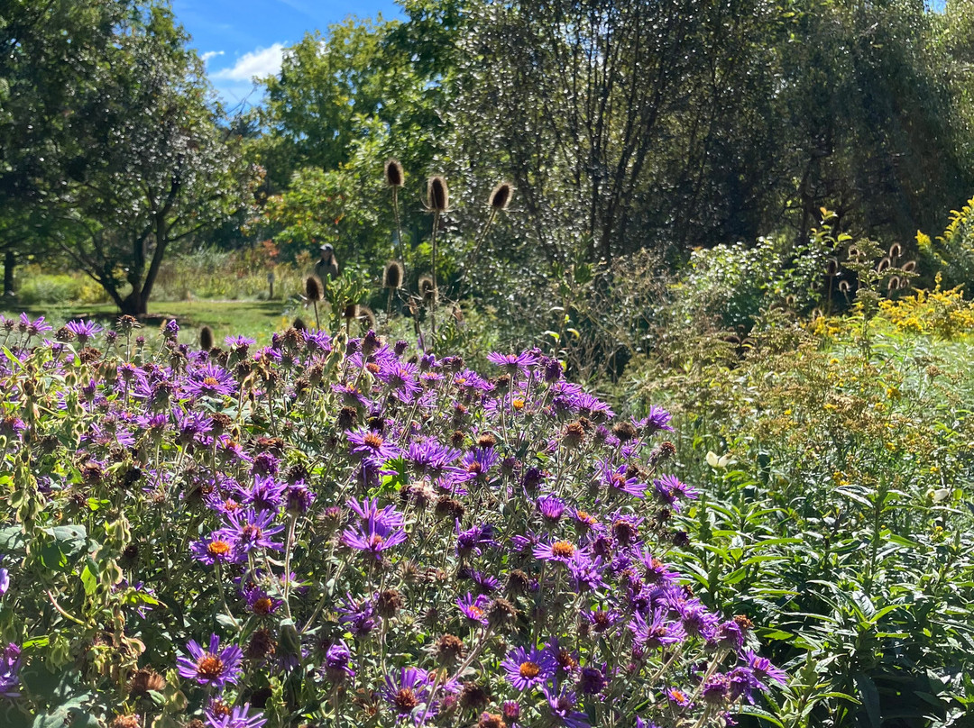 Acton Arboretum-Acton必去景点
