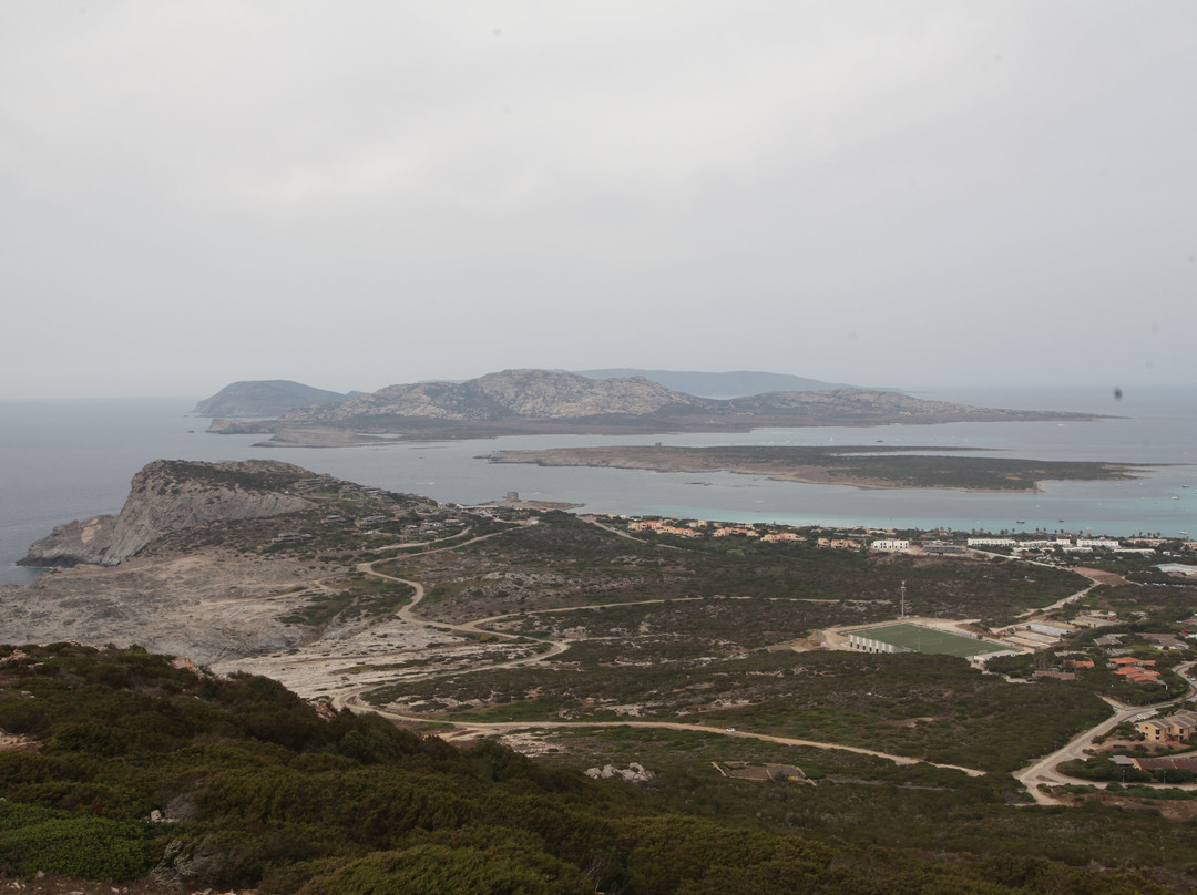 Torre Del Falcone