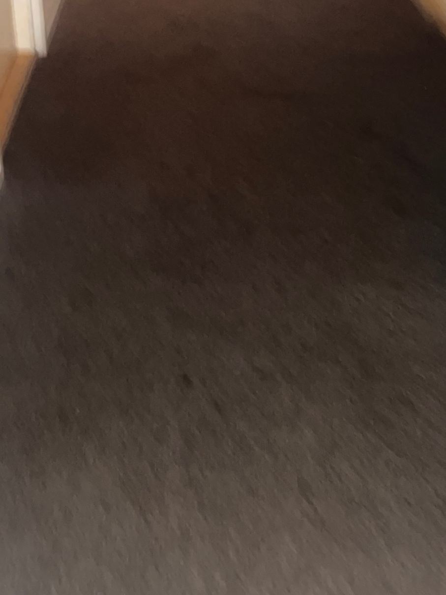 戴尔罗格酒店-旅行者