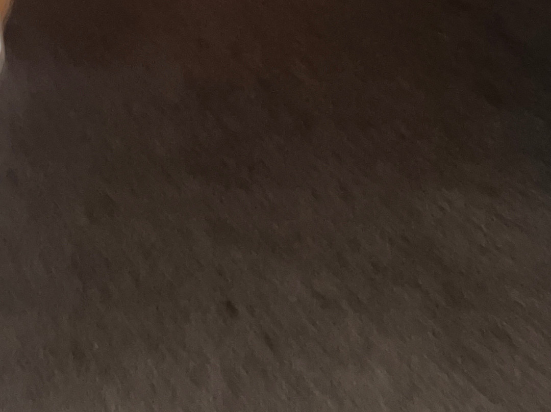 戴尔罗格酒店主图