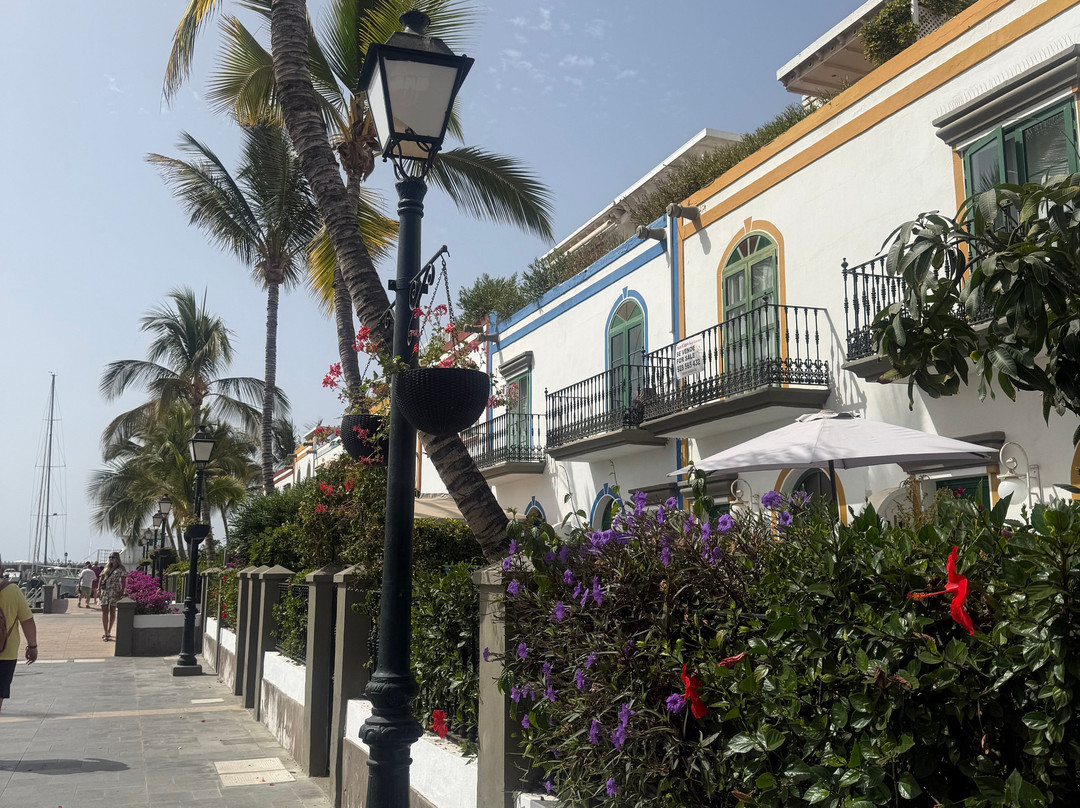 Puerto De Mogán-莫干港必去景点