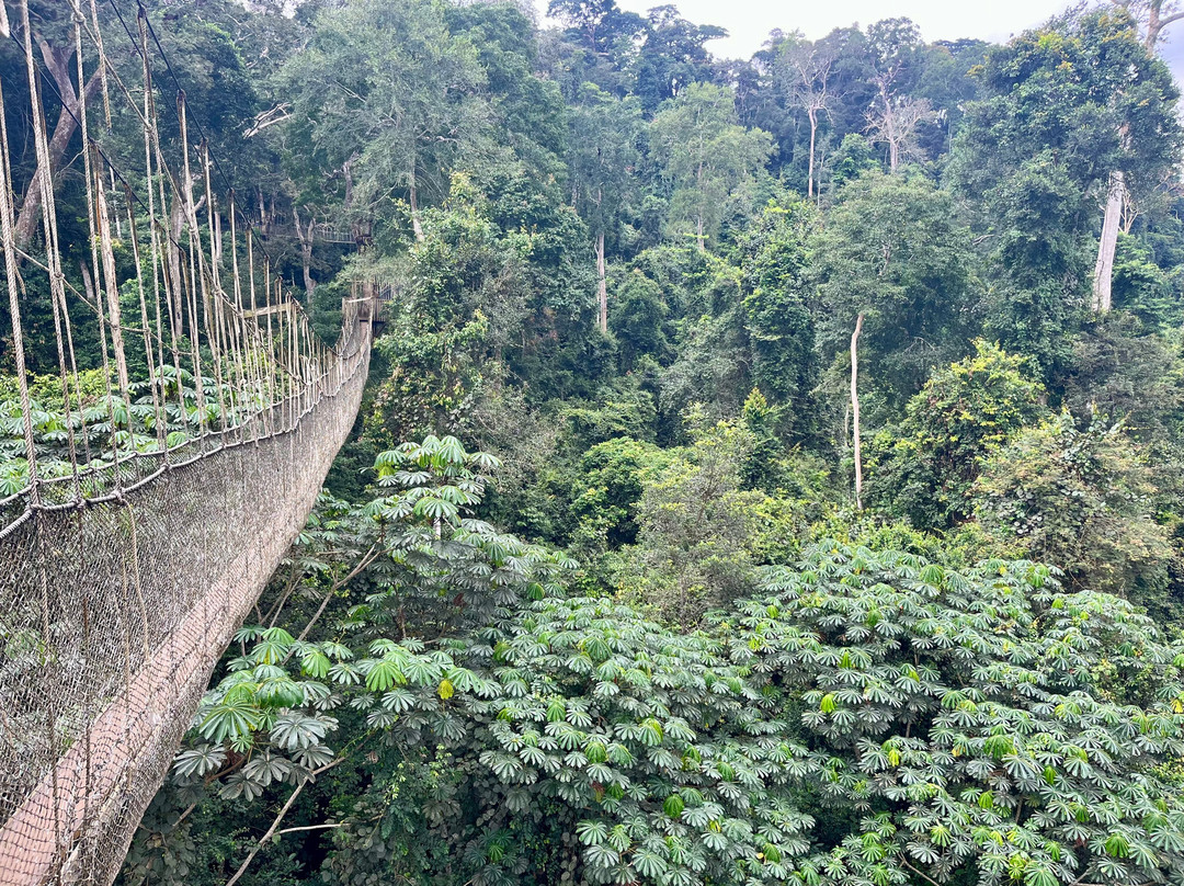 Kakum National Park-Cape Coast必去景点