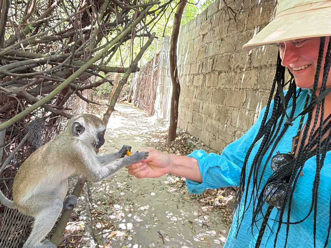 Zanzibar Kilosas Conservation-孥归必去景点