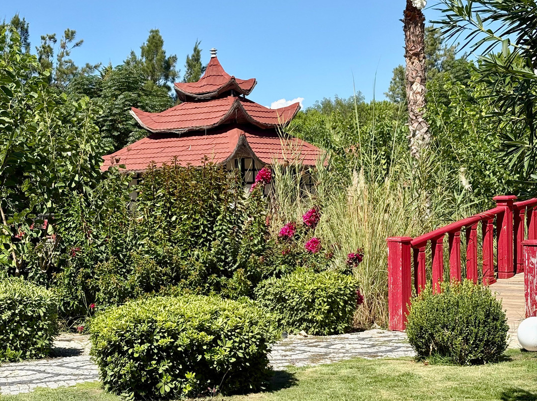 弗洛拉花园海滩俱乐部-全包主图