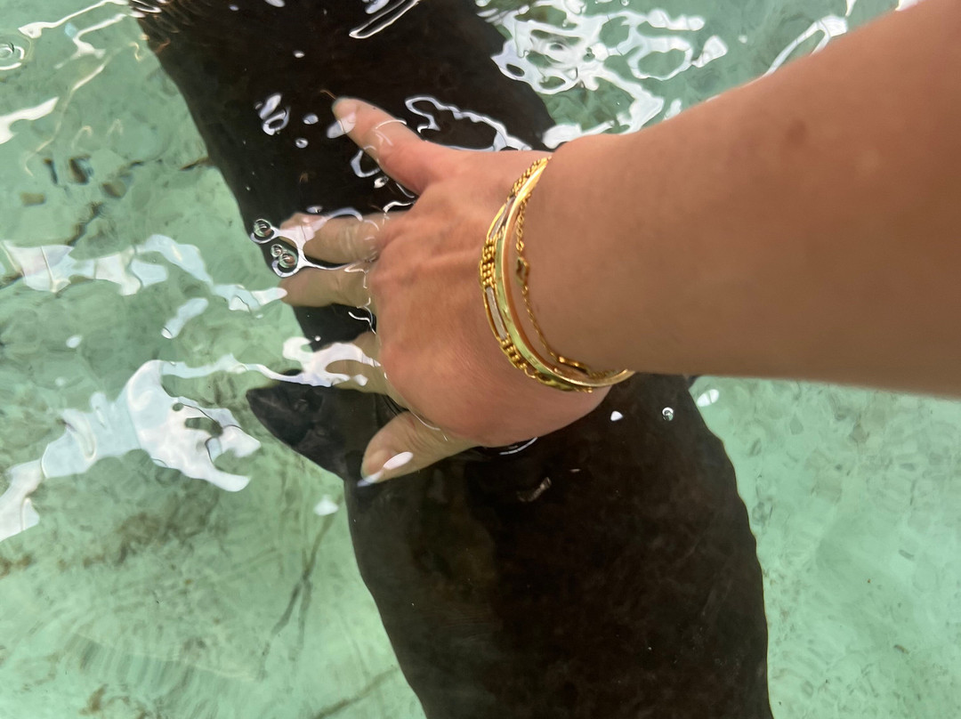 Port Stephens Animal Adventures-Bobs Farm必去景点