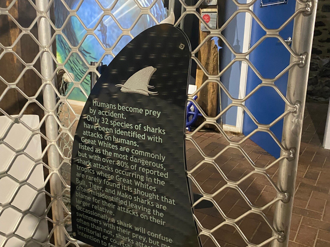 South Australia Whale Centre-维克多港必去景点