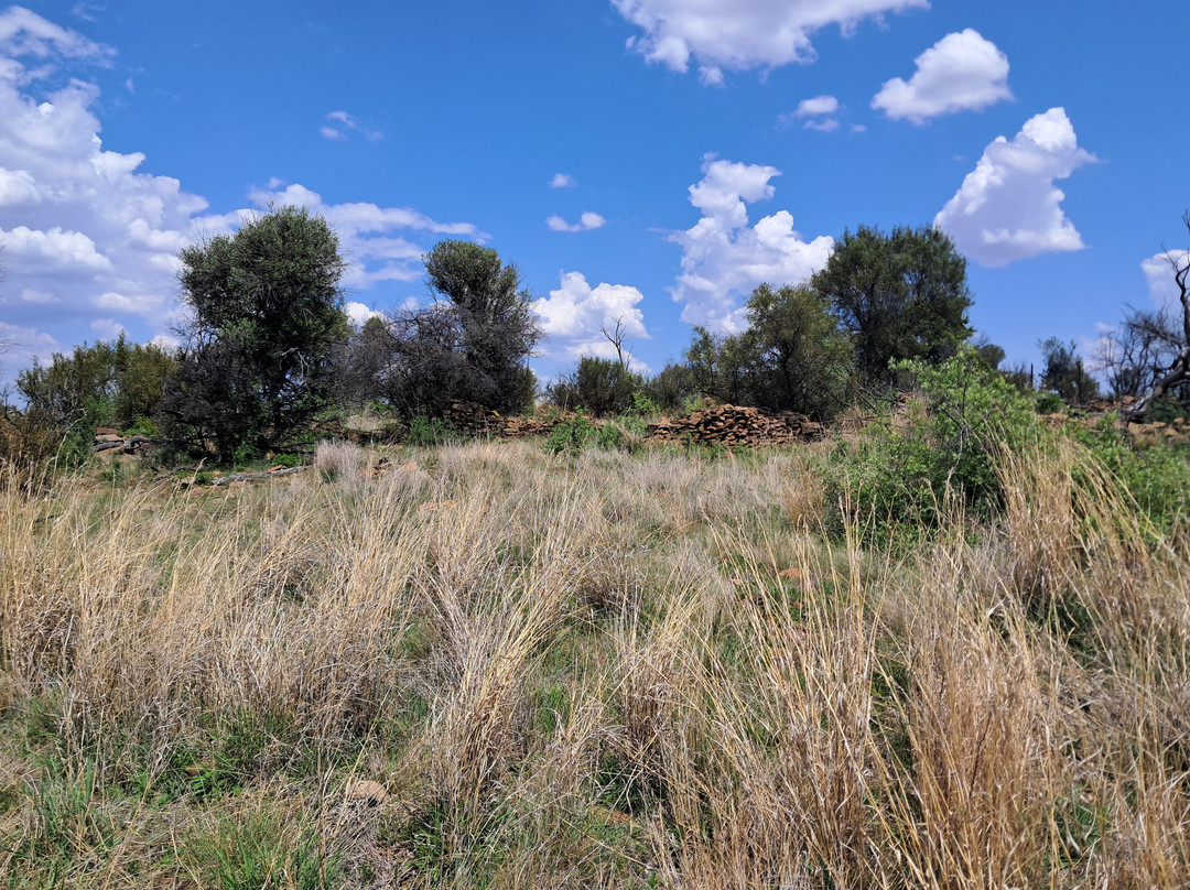 Willem Pretorius Game Reserve-Venterburg必去景点
