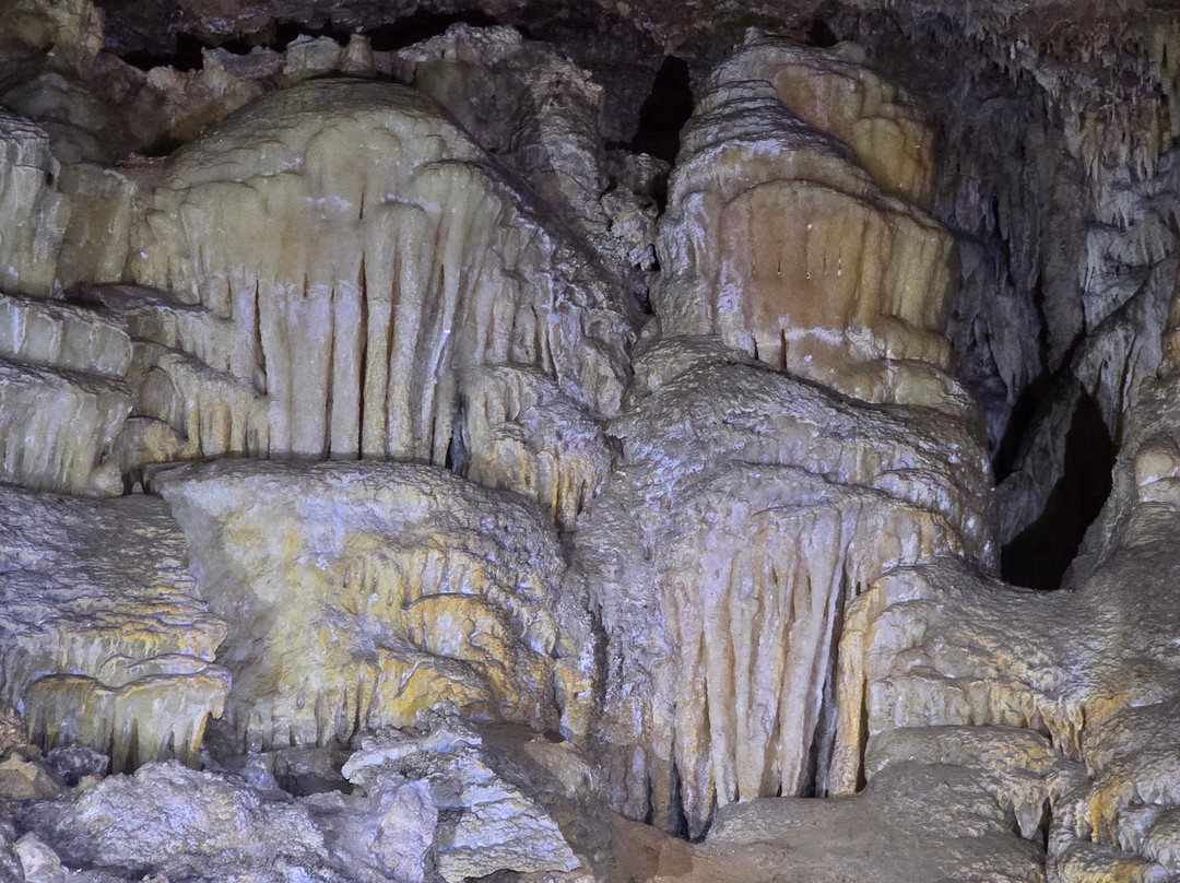 Giants Cave-Forest Grove必去景点