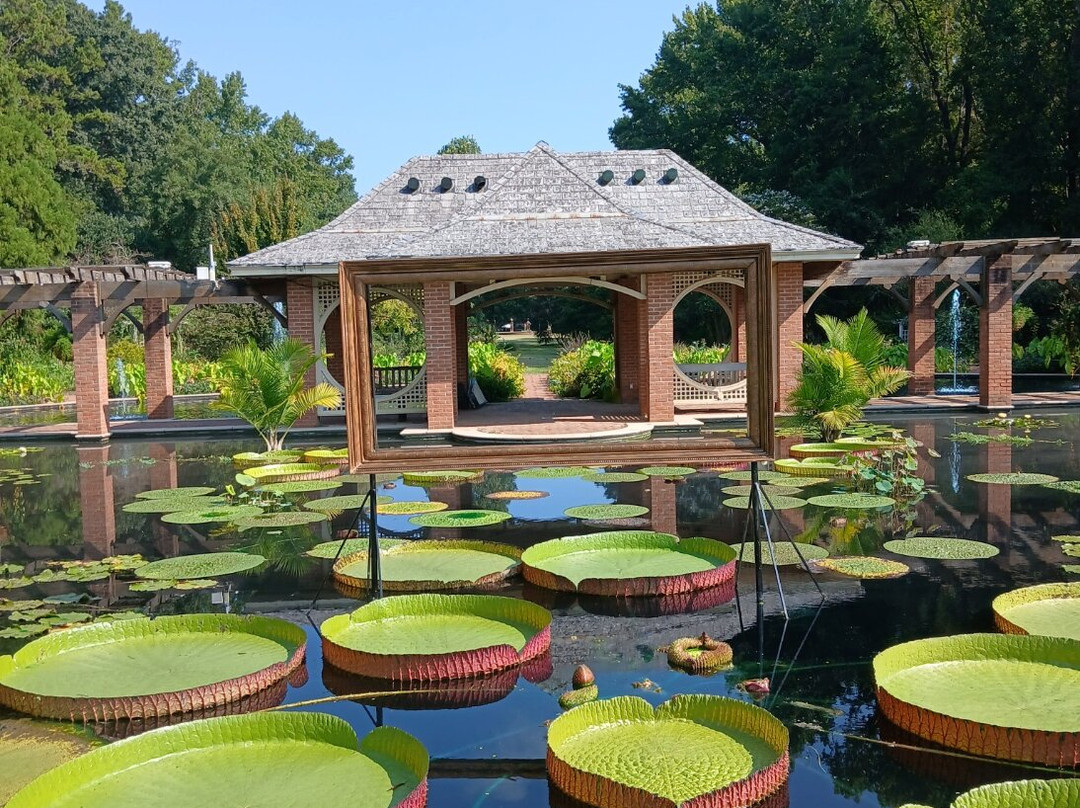 Huntsville Botanical Garden-亨茨维尔必去景点