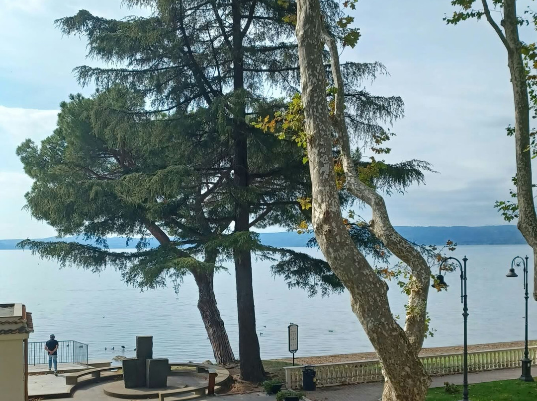 Spiaggia Dei Salici-博尔塞纳必去景点
