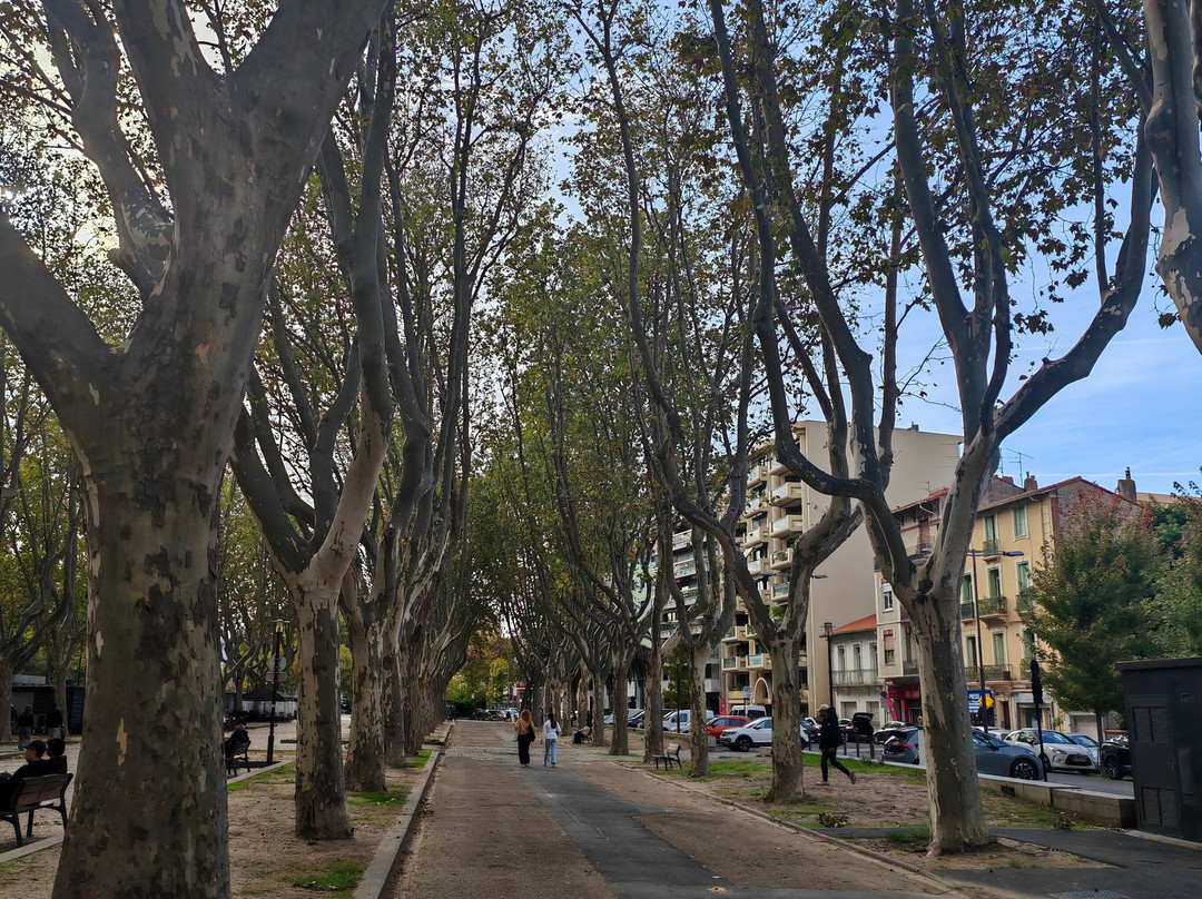 Promenade des Platanes-佩皮尼昂必去景点