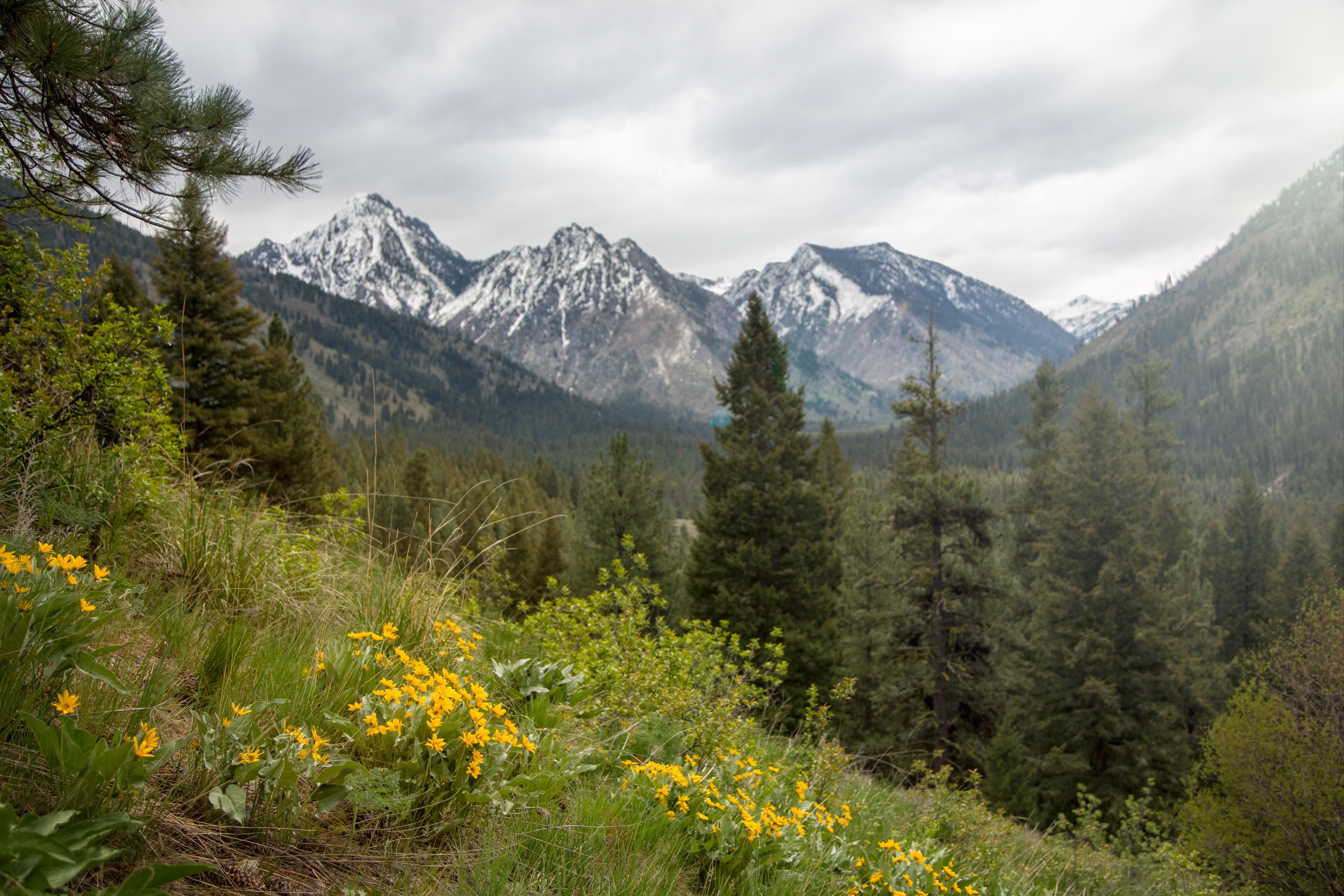 Sawtooth Lodge-官方