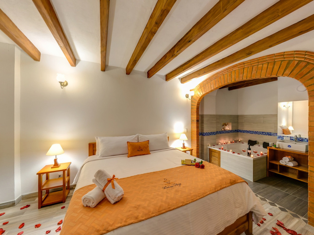 莱瓦镇酒店住宿-Fontana Plaza Hotel