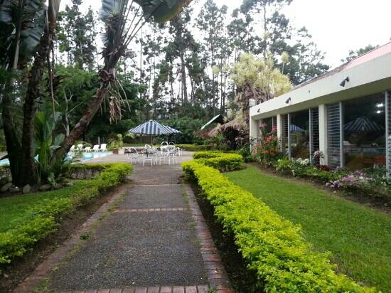Hotel Pinar Dorado-客卧