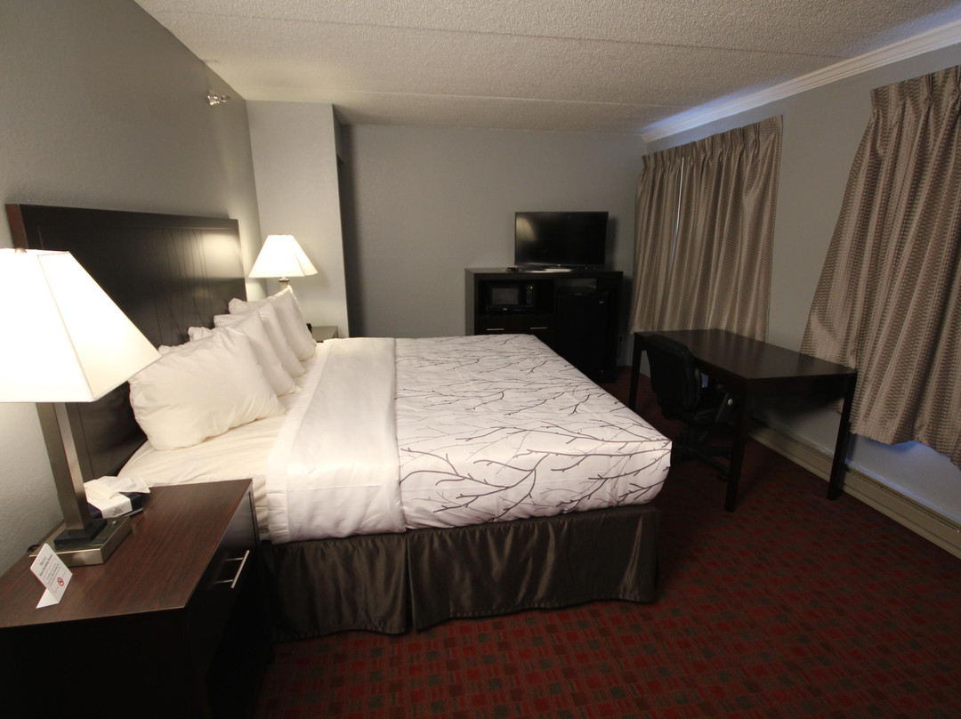 Lead酒店住宿-Blackstone Lodge and Suites