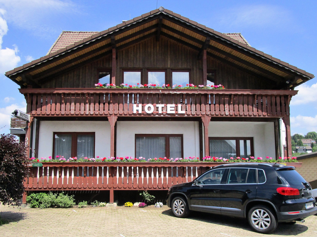 Sankt Andreasberg酒店住宿-Hoffmanns Hotel Waldfrieden (garni)