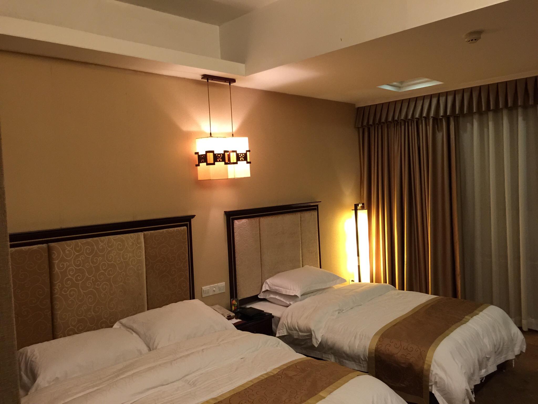 安南大酒店-客卧