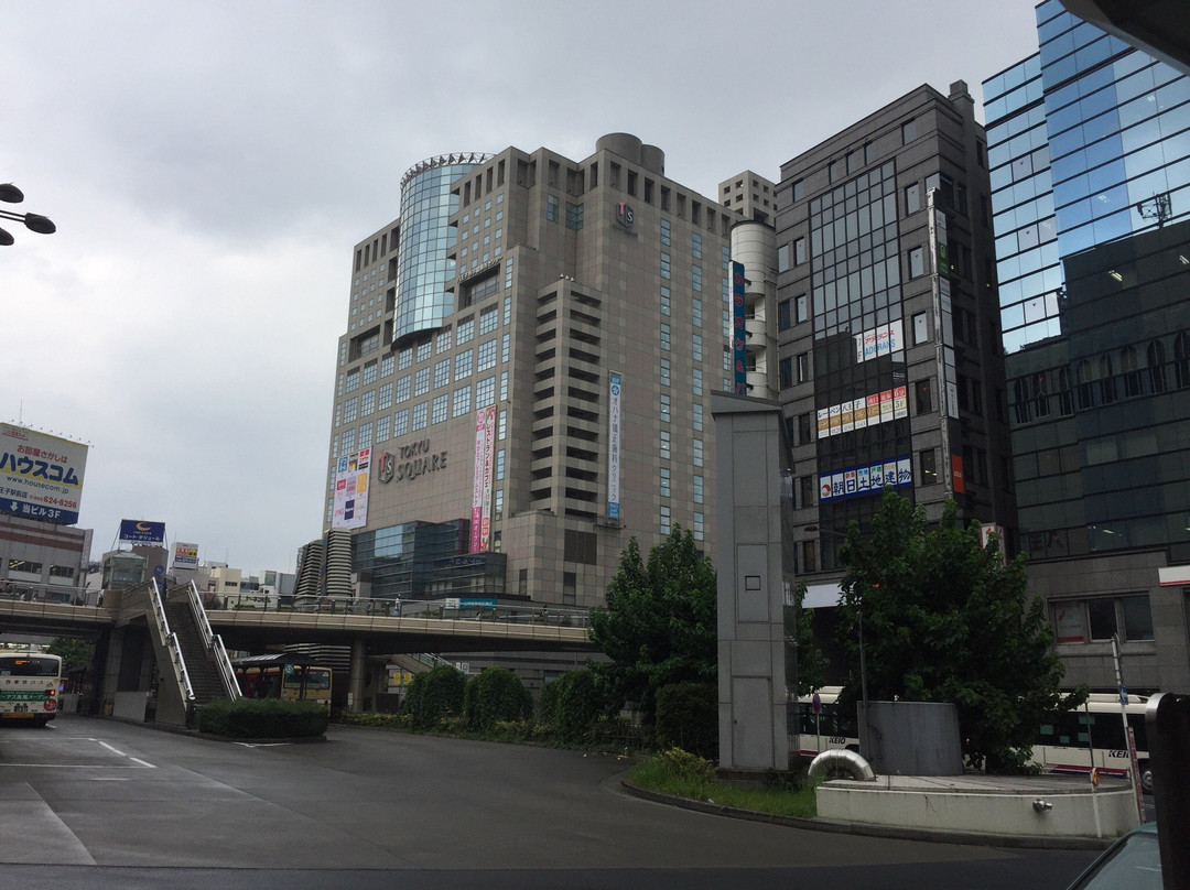 Hachioji Tokyu Square景点图片