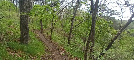 Taehwa San-丹阳郡必去景点