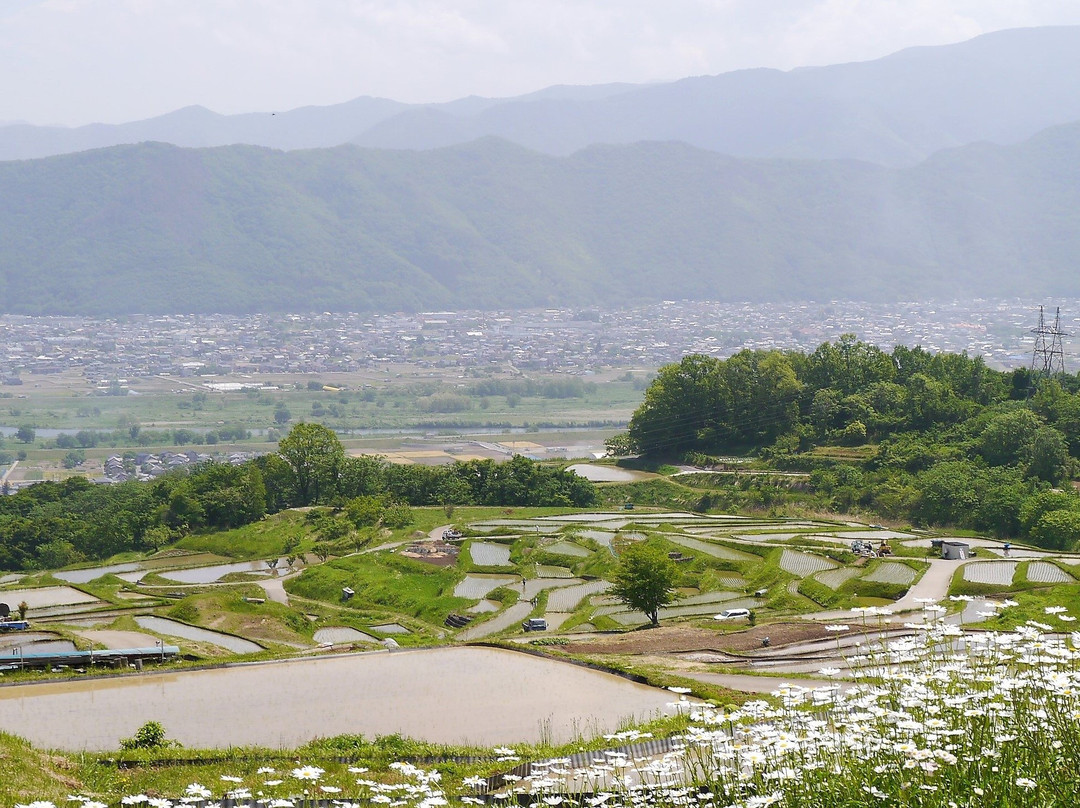 Obasute tanada (Terraced rice fields)景点图片