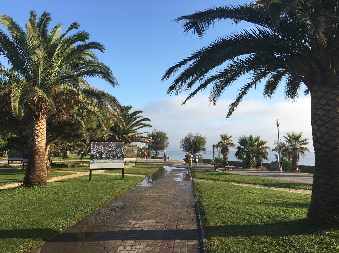 Promenade du Front de Mer景点图片