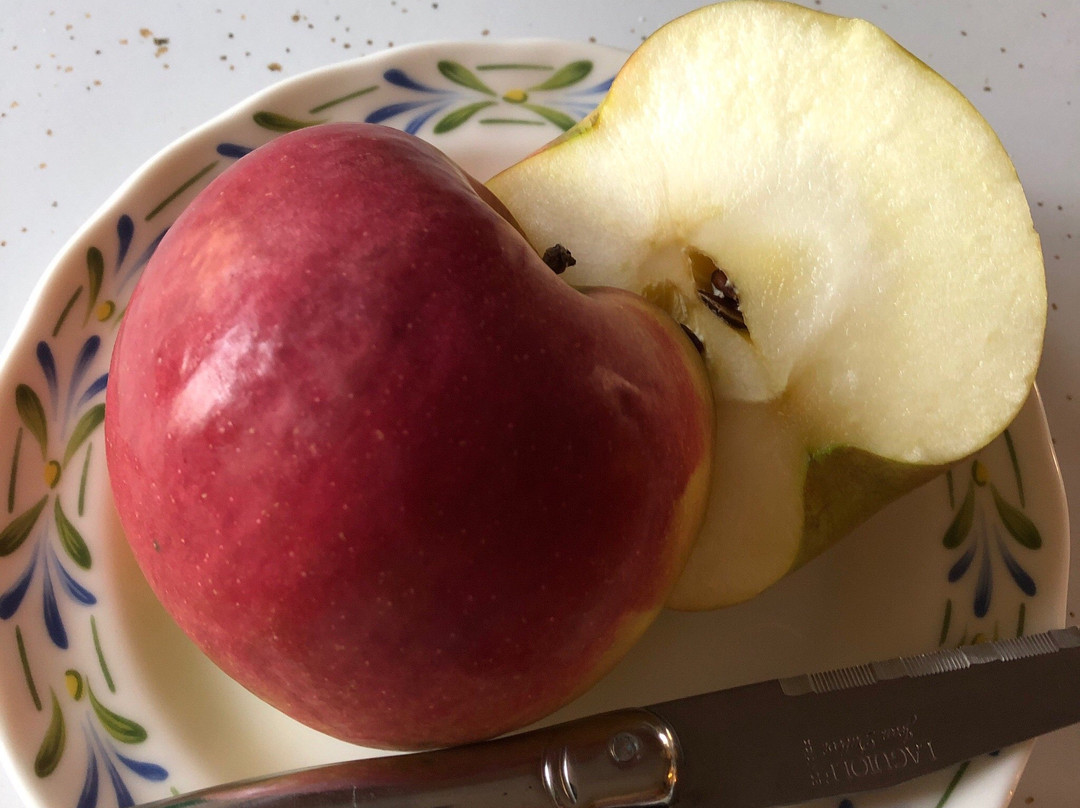 Meadowbrook Farm Market-Wappingers Falls必去景点