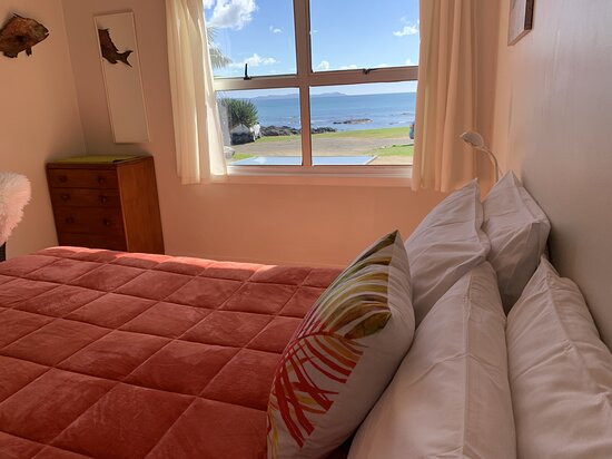 漂流木小屋