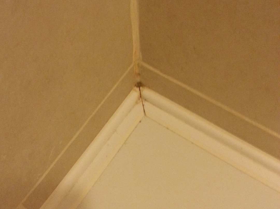 希尔顿花园马尔丁酒店主图