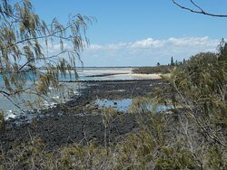 Elliott Heads Submarine Lookout Anzac Day Memorial景点图片