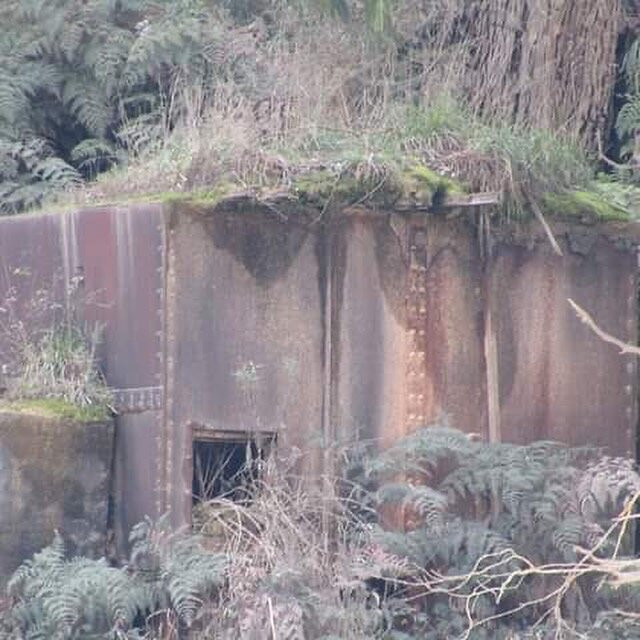 Ride With Us-廷布恩必去景点