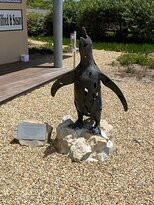 African Penguin & Seabird Sanctuary-干斯拜必去景点