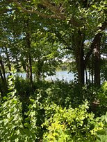 Edgewater Park景点图片