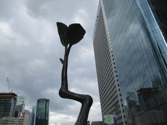 Point Growth景点图片