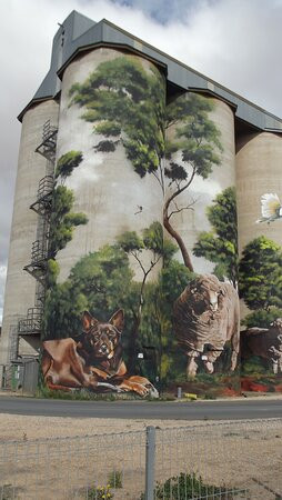 Karoonda Silo Art-Karoonda必去景点