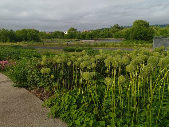 Asahikawa Kitasaito Garden-旭川市必去景点