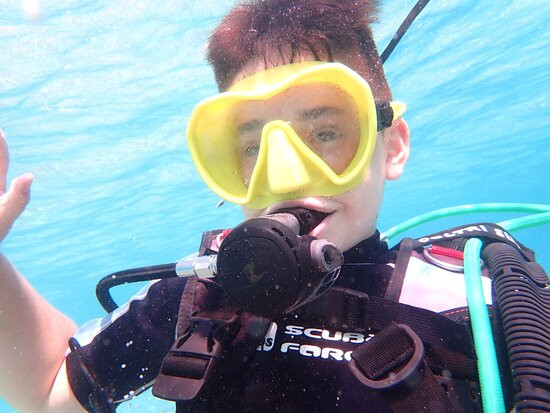 Ergo Dive Loumis Diving Team景点图片