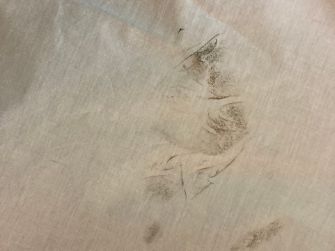 Econo Lodge - Hattiesburg / Hardy St.