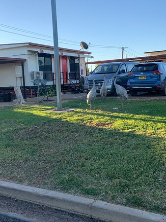 Winton Outback Motel-官方