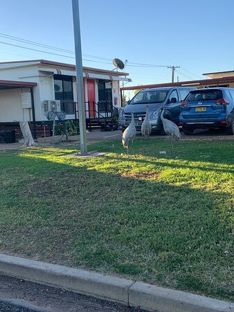 Winton酒店住宿-Winton Outback Motel