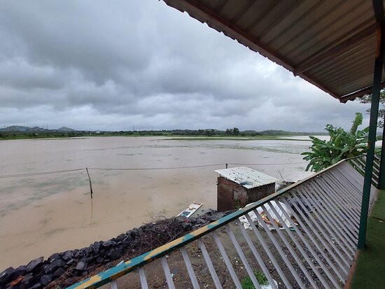 The Herb Farm By Curry Leaves主图