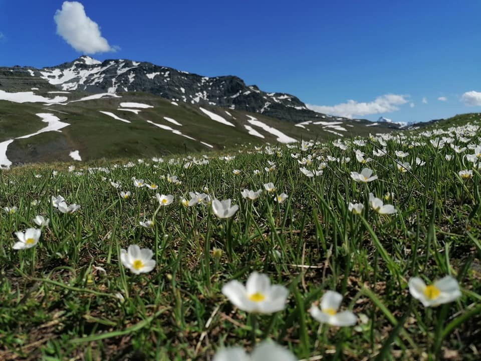 MGM Hotels & Residences Alpen Lodge主图