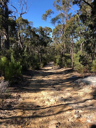 Lalor Drive Trail